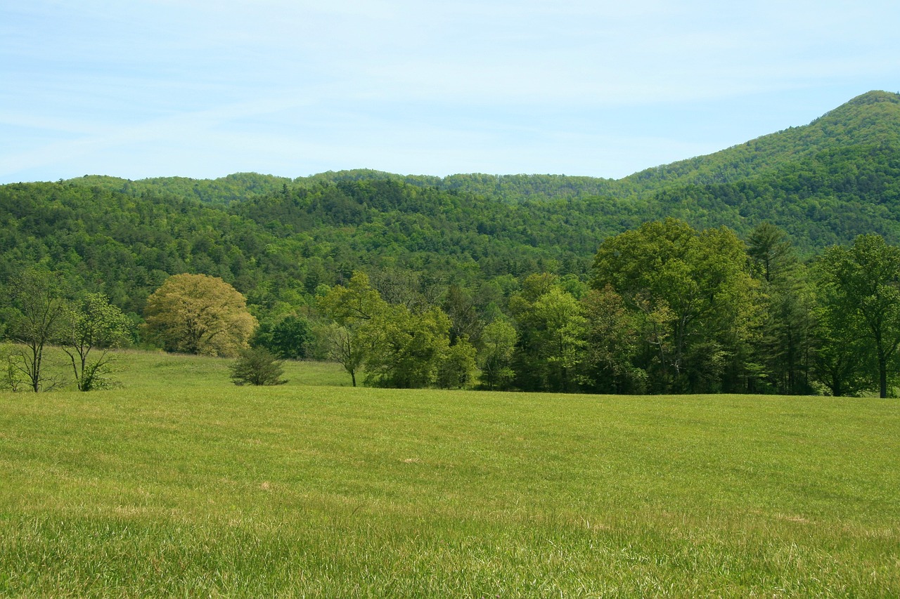 Top 10 Scenic Drives in the Great Smoky Mountains